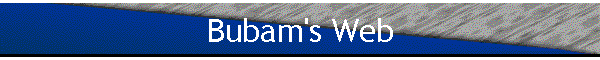 Bubam's Web